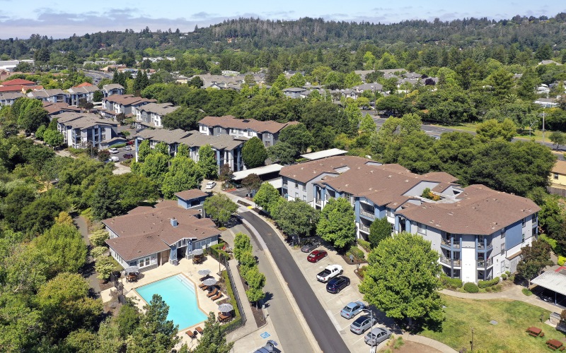 buildings surrounded by trees