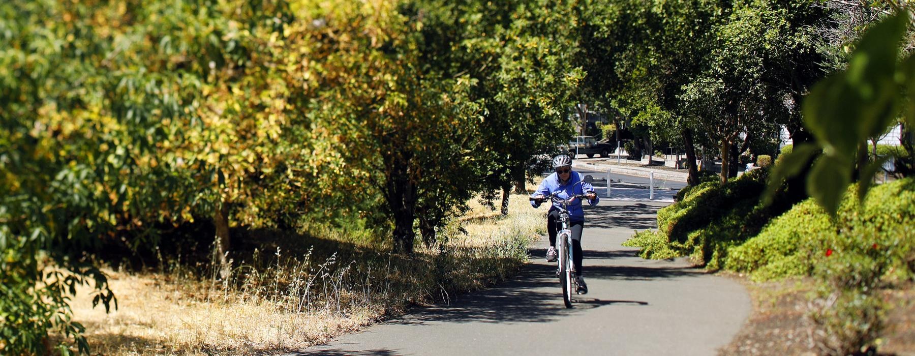 a person riding a bicycle on a pathway